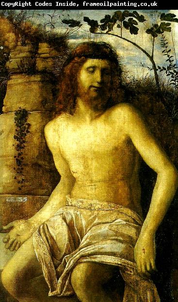 Giovanni Bellini den tornekronte kristus